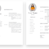 2 Page Accountant CV Template